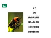 沪科版（2019）高中生物必修一 4.3ATP是驱动细胞生命活动的直接能源物质 课件 +教案