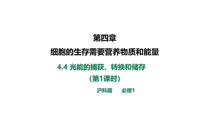 4.4光能的捕获、转换和储存 课件第1页