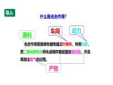 沪科版（2019）高中生物必修一 4.4光能的捕获、转换和储存（课时1） 课件 +教案