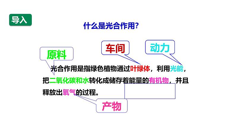 4.4光能的捕获、转换和储存 课件第2页