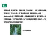 沪科版（2019）高中生物必修一 4.4光能的捕获、转换和储存（课时1） 课件 +教案