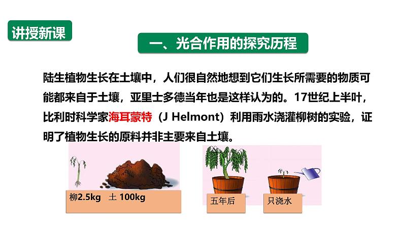 4.4光能的捕获、转换和储存 课件第4页