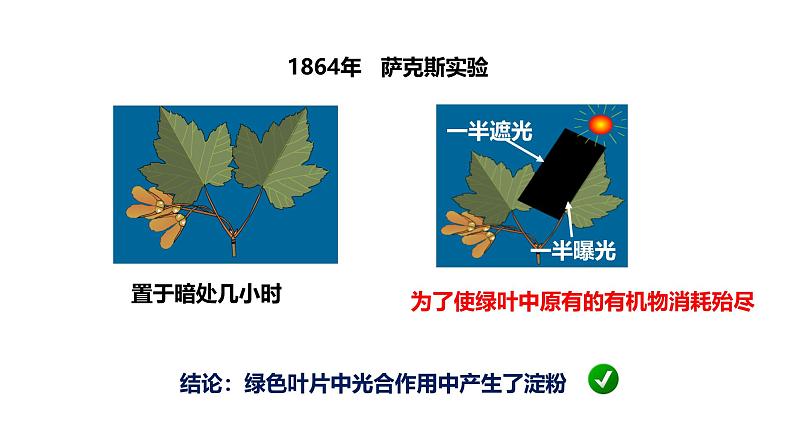 4.4光能的捕获、转换和储存 课件第8页