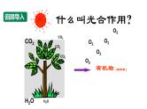 沪科版（2019）高中生物必修一 4.4光能的捕获、转换和储存（课时2） 课件 +教案