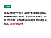 沪科版（2019）高中生物必修一 4.4光能的捕获、转换和储存（课时2） 课件 +教案