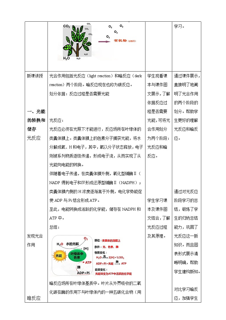 沪科版（2019）高中生物必修一 4.4光能的捕获、转换和储存（课时2） 课件 +教案02