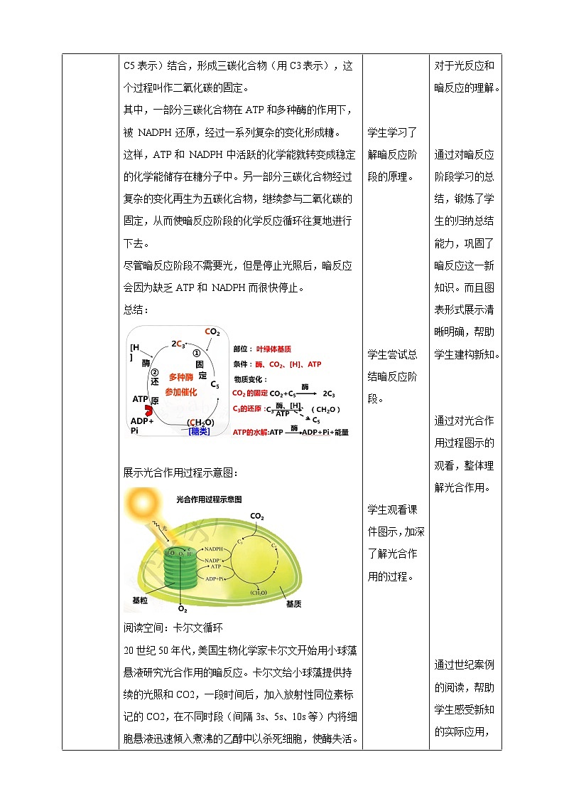沪科版（2019）高中生物必修一 4.4光能的捕获、转换和储存（课时2） 课件 +教案03