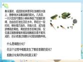 沪科版（2019）高中生物必修一 第二节  细胞会发生特异性分化 课件 +教案