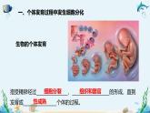 沪科版（2019）高中生物必修一 第二节  细胞会发生特异性分化 课件 +教案