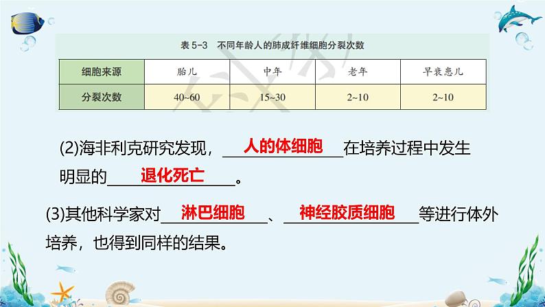 沪科版（2019）高中生物必修一 第三节  细胞衰老是自然的生理过程 课件 +教案07