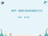 沪科版（2019）高中生物必修一 第四节  细胞凋亡是自然的细胞死亡方式 课件 +教案