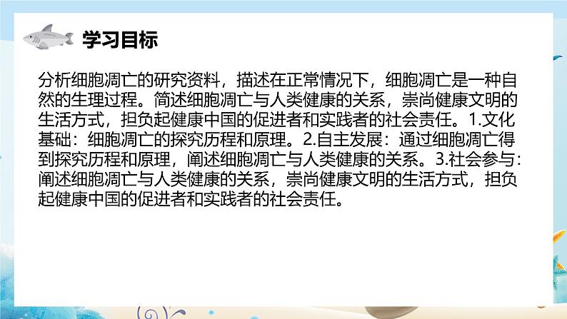 第四节  细胞凋亡是自然的细胞死亡方式 课件第2页