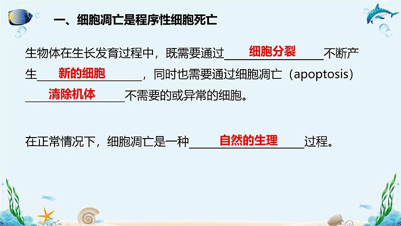 第四节  细胞凋亡是自然的细胞死亡方式 课件第4页