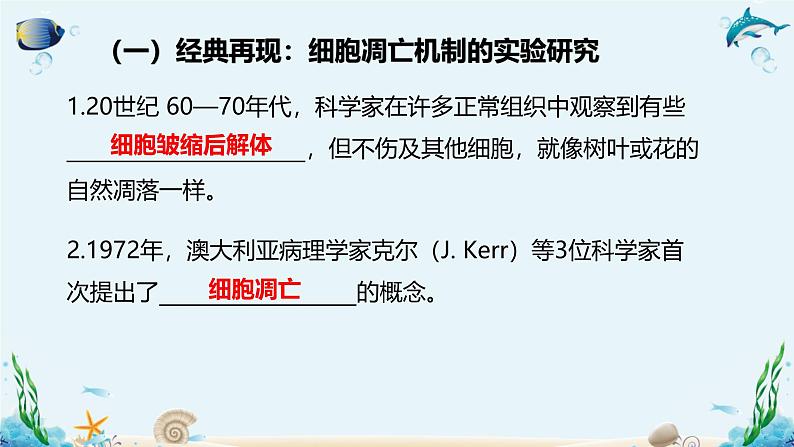 第四节  细胞凋亡是自然的细胞死亡方式 课件第5页