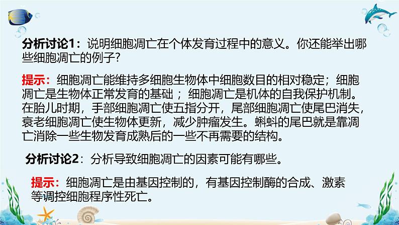 第四节  细胞凋亡是自然的细胞死亡方式 课件第8页