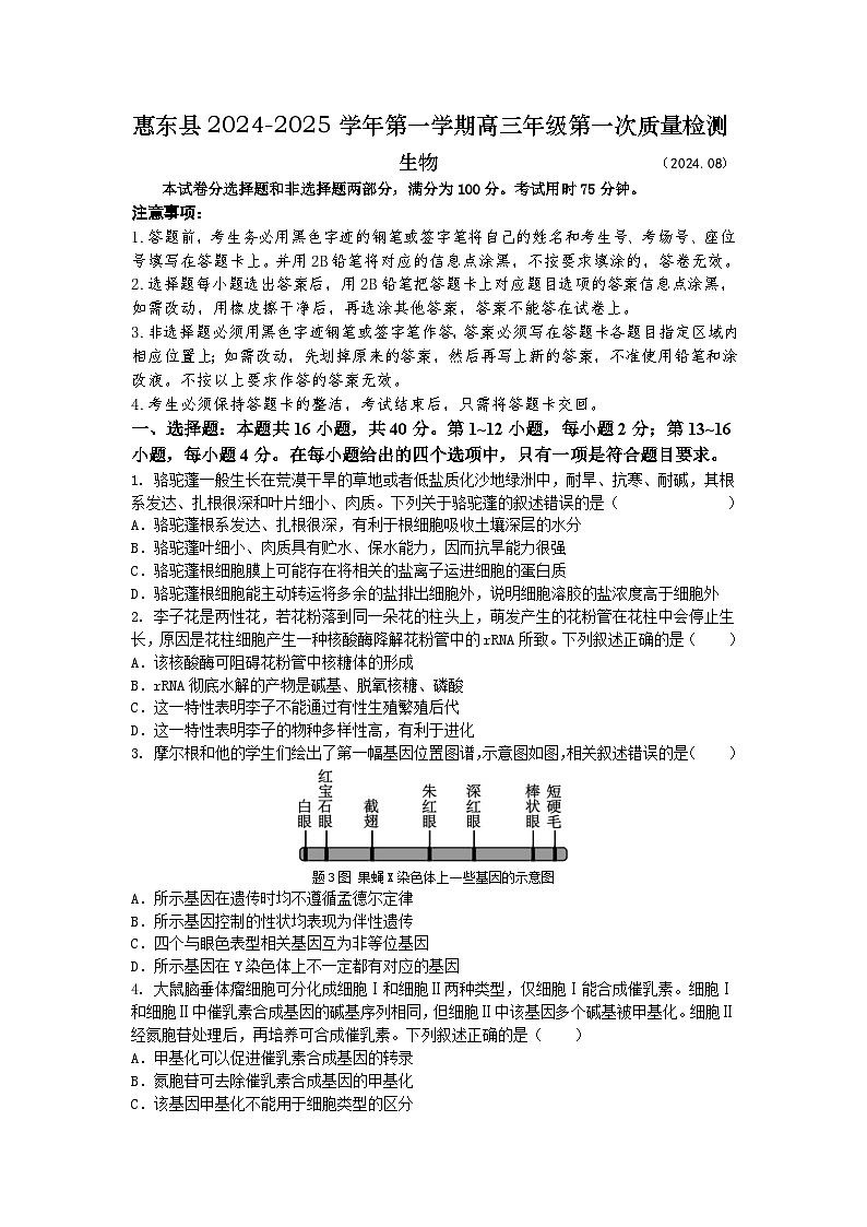 2025届广东省惠州市惠东县高考模拟预测生物试题第1页