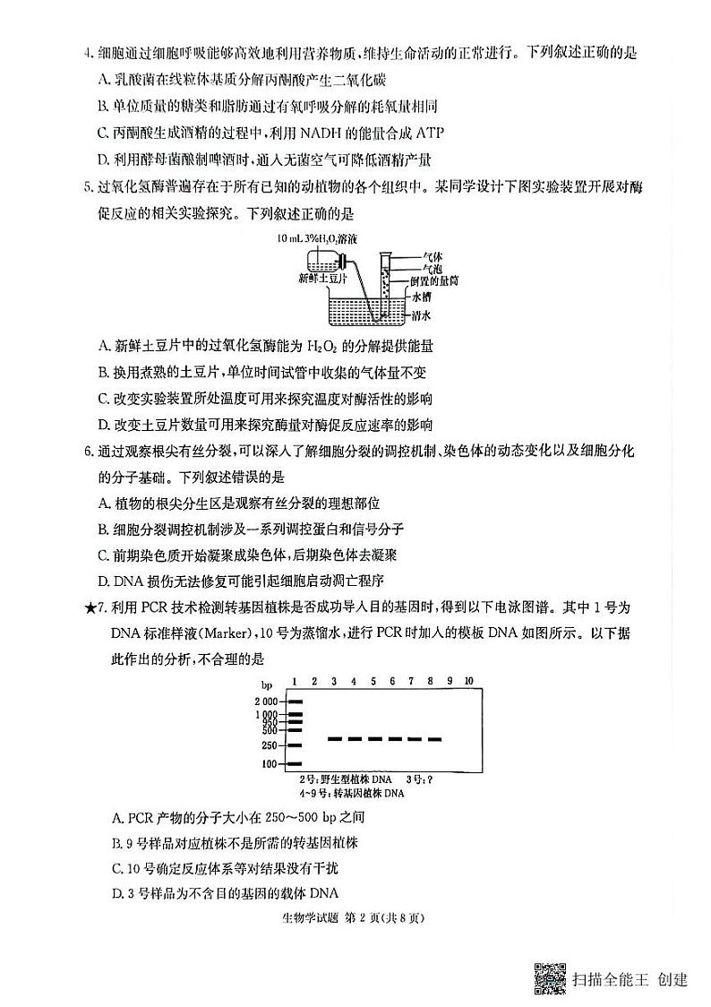 2025届湖南省名校联考联合体高三上学期第一次联考（暨入学检测）生物试题第2页