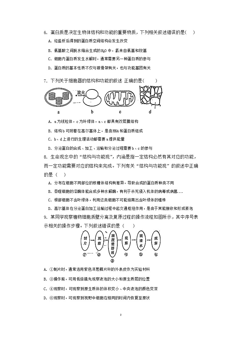 安徽省蚌埠第四中学2024—2025学年高二上学期开学考试生物试题02