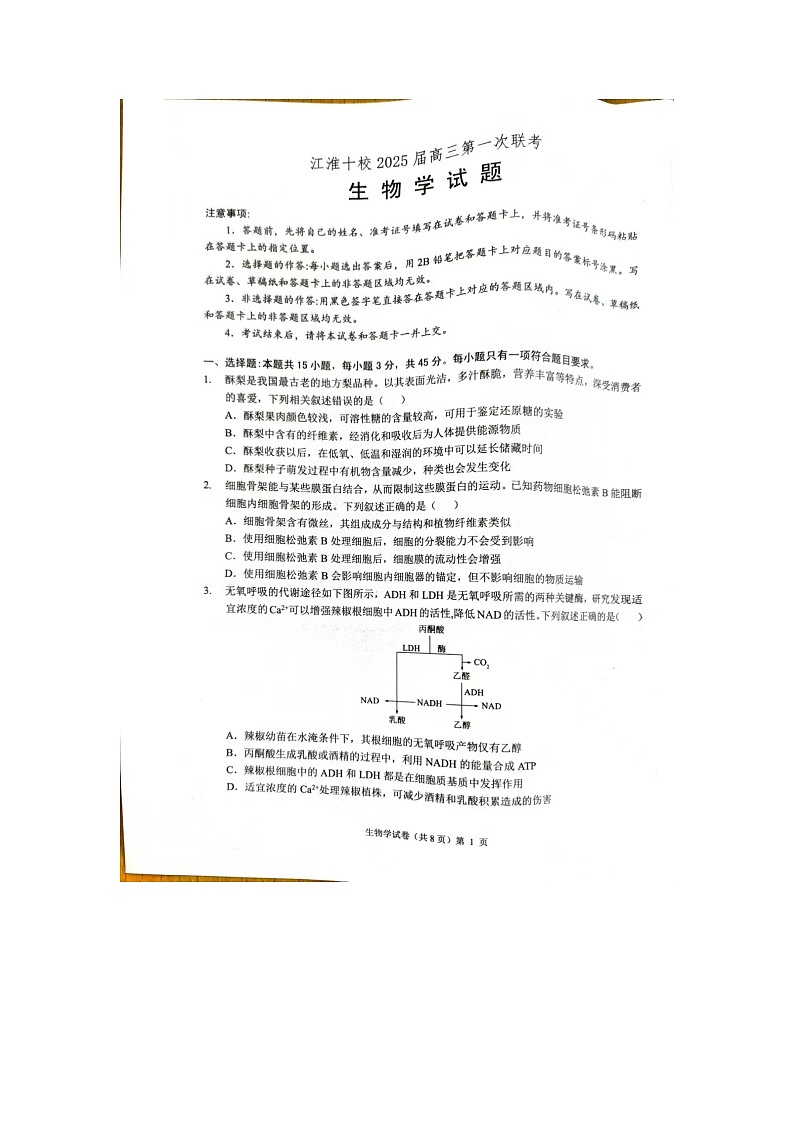 安徽省阜阳市界首市齐舜高级中学有限责任公司2024-2025学年高三上学期开学生物试题01