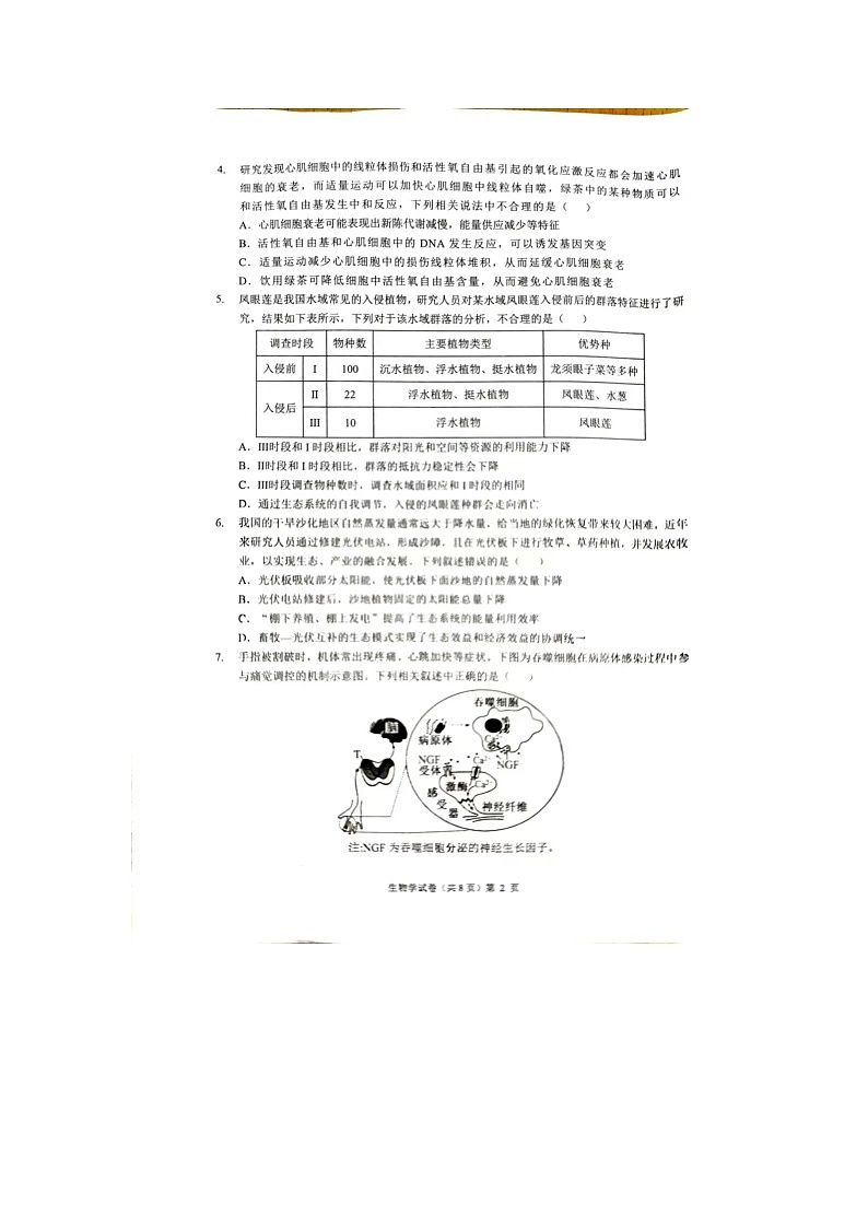 安徽省阜阳市界首市齐舜高级中学有限责任公司2024-2025学年高三上学期开学生物试题02