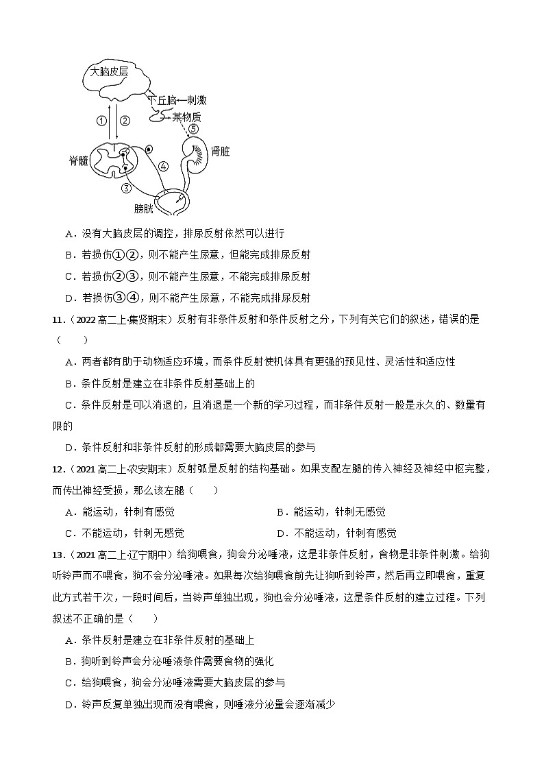 高中生物学北师大版2019选择性必修一同步练习2.1 神经调节的基本方式03