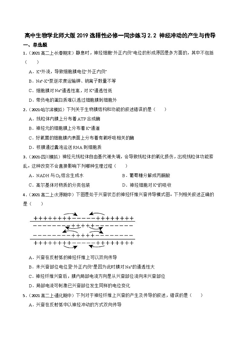 高中生物学北师大版2019选择性必修一同步练习2.2 神经冲动的产生与传导01