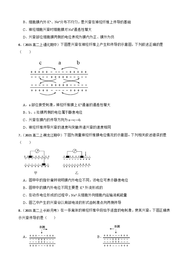 高中生物学北师大版2019选择性必修一同步练习2.2 神经冲动的产生与传导02