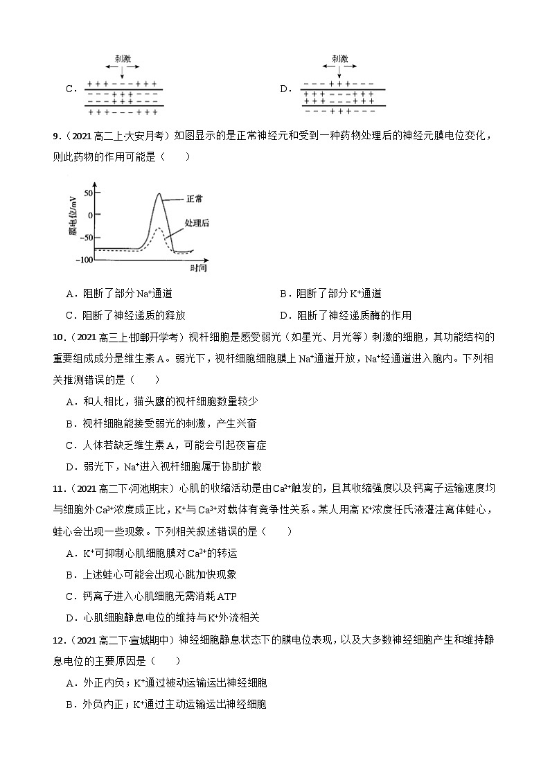 高中生物学北师大版2019选择性必修一同步练习2.2 神经冲动的产生与传导03