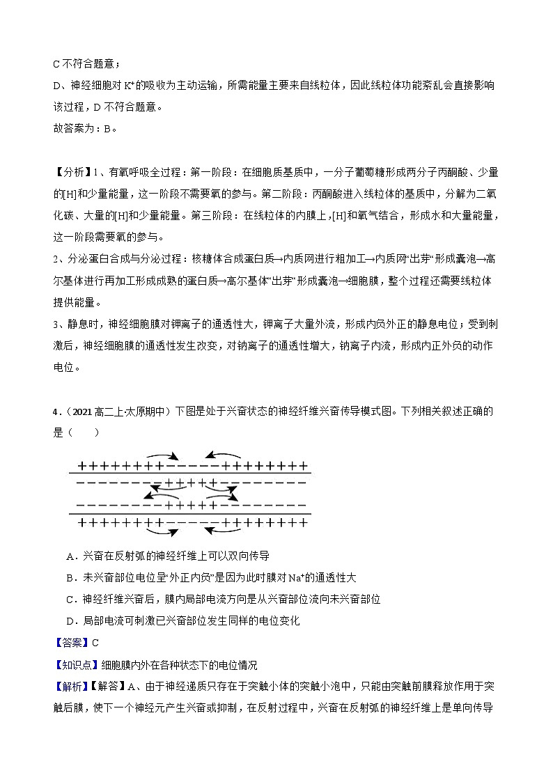 高中生物学北师大版2019选择性必修一同步练习2.2 神经冲动的产生与传导03