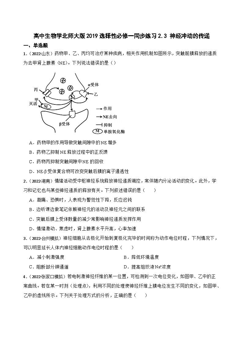 高中生物学北师大版2019选择性必修一同步练习2.3 神经冲动的传递01