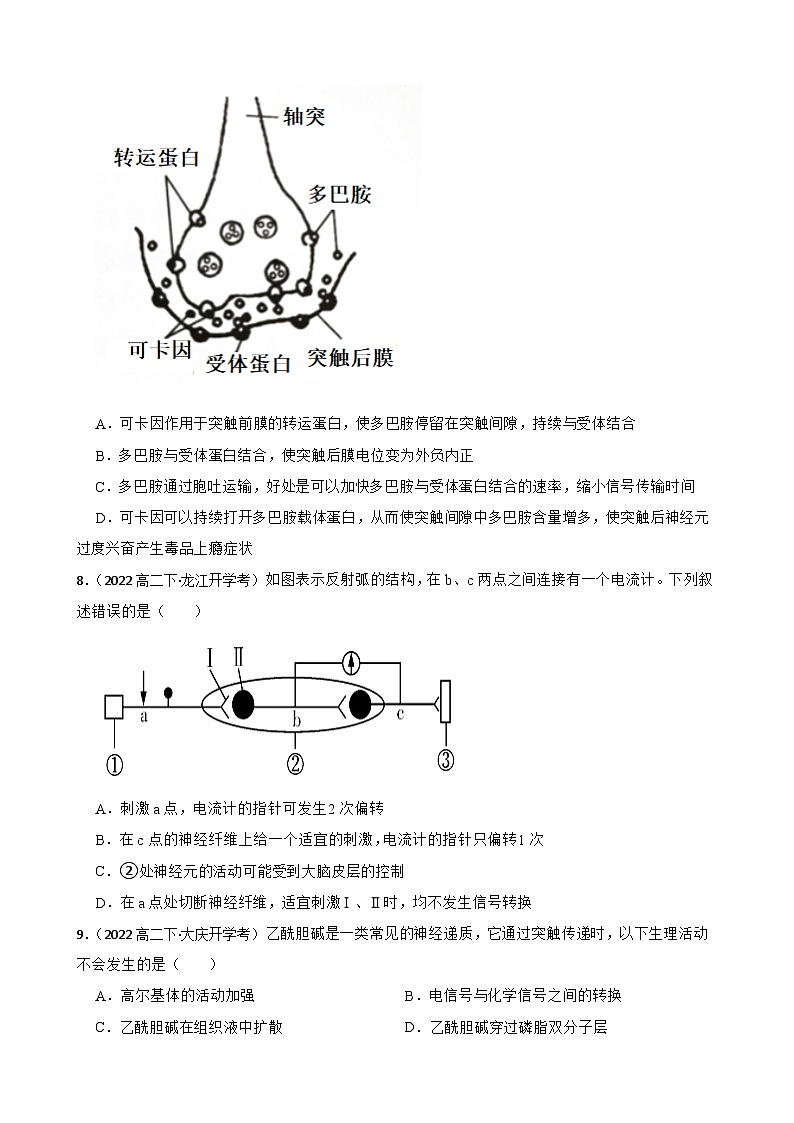 高中生物学北师大版2019选择性必修一同步练习2.3 神经冲动的传递03