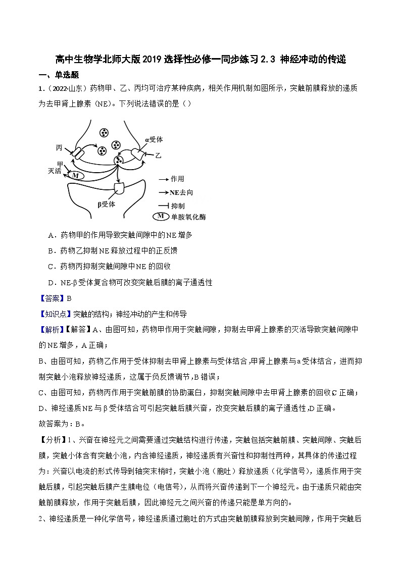 高中生物学北师大版2019选择性必修一同步练习2.3 神经冲动的传递01