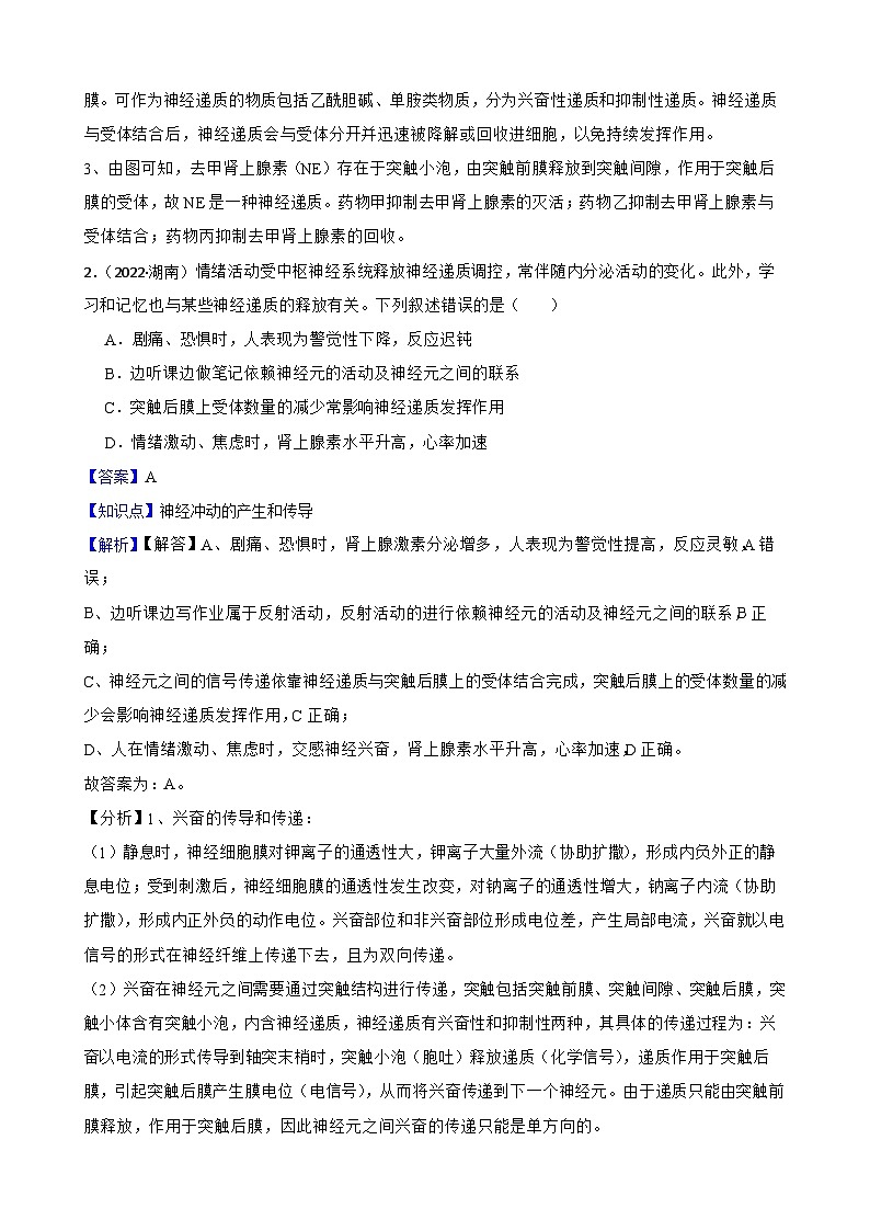高中生物学北师大版2019选择性必修一同步练习2.3 神经冲动的传递02