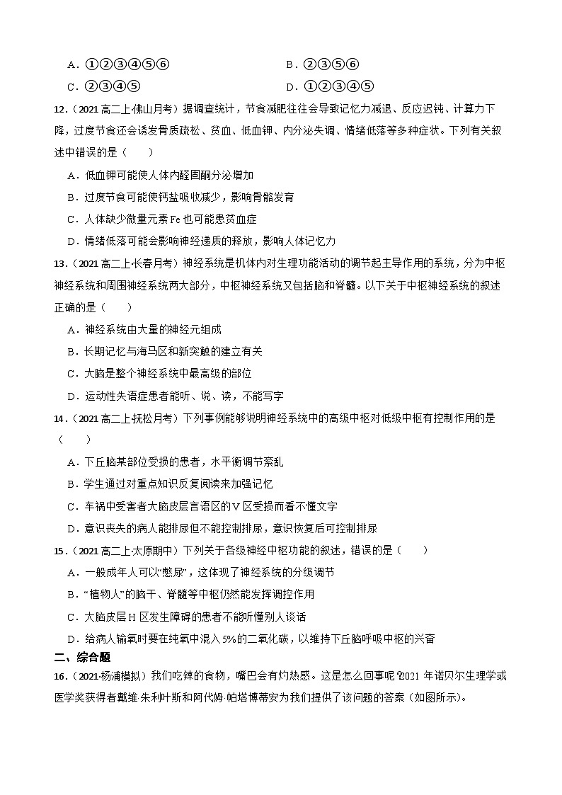高中生物学北师大版2019选择性必修一同步练习2.6.2 人的语言活动03