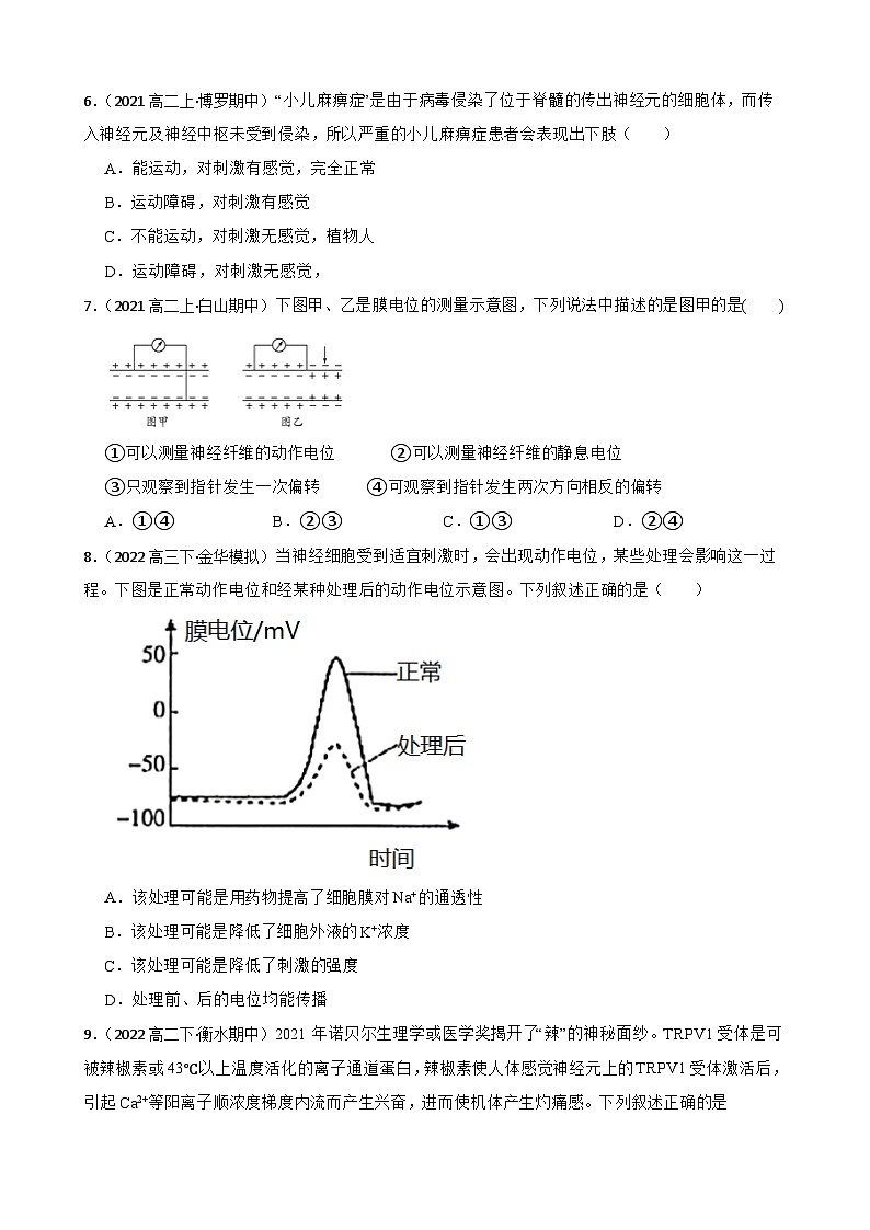 高中生物学北师大版2019选择性必修一第二章 机体稳态的神经调节 单元测试02