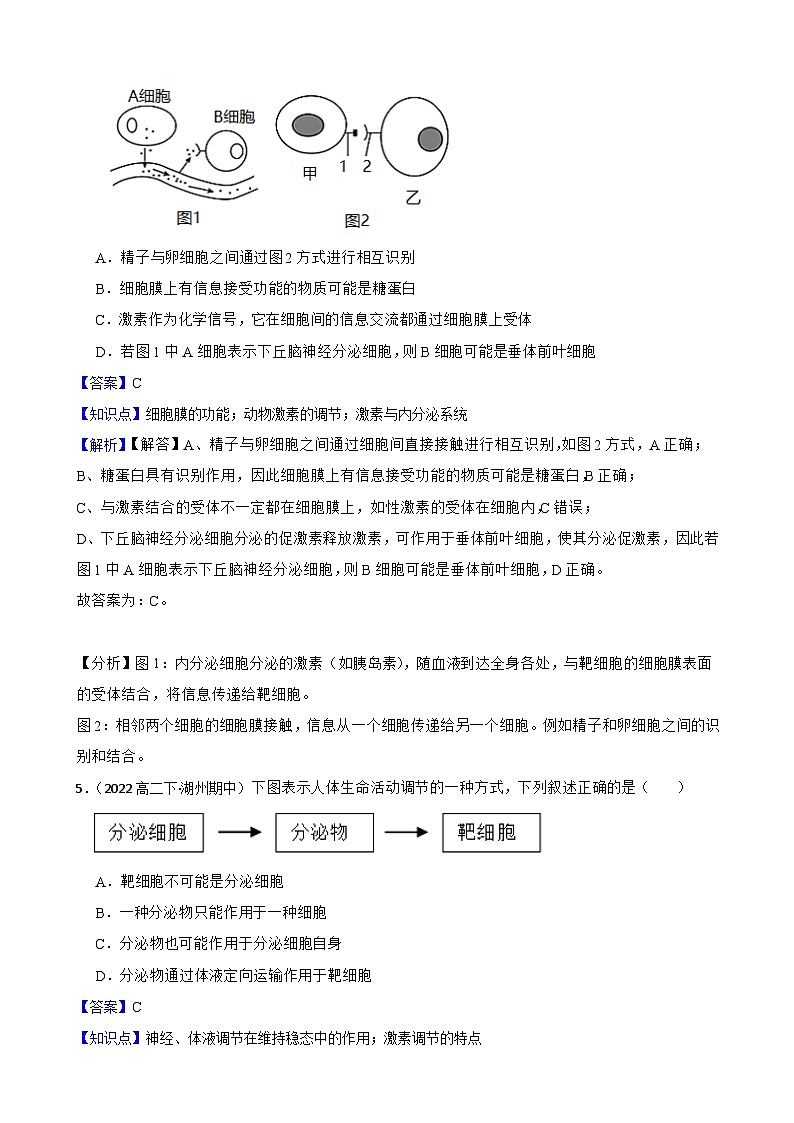 高中生物学北师大版2019选择性必修一同步练习3.2 内分泌系统与激素03