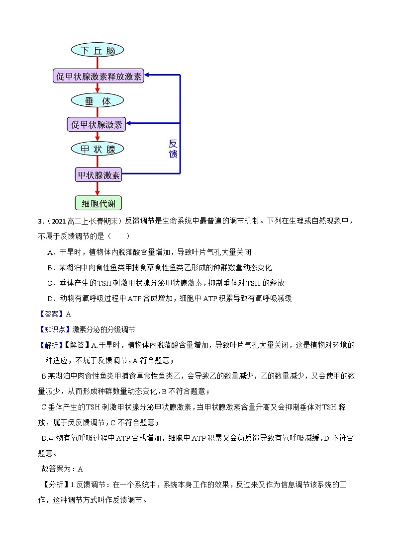 高中生物学北师大版2019选择性必修一同步练习3.3 激素分泌的分级调节与反馈调节03