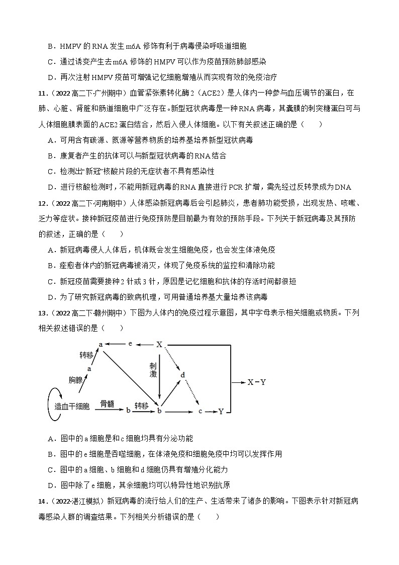高中生物学北师大版2019选择性必修一同步练习4.3.2 体液免疫03