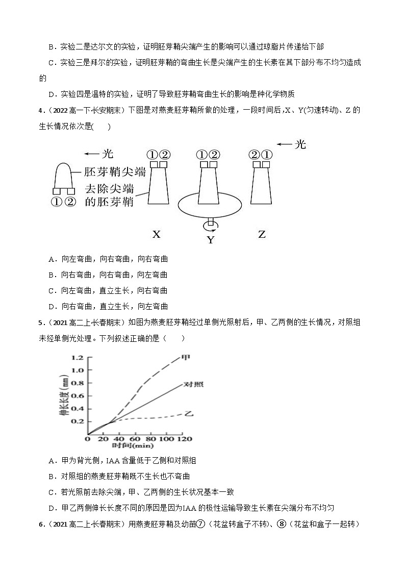 高中生物学北师大版2019选择性必修一同步练习5.1 植物生长素的发现与作用02