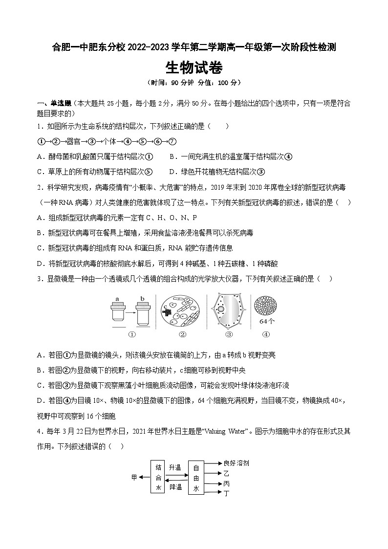 安徽省合肥一中肥东分校2022-2023学年高一下学期第一次月考生物试题01