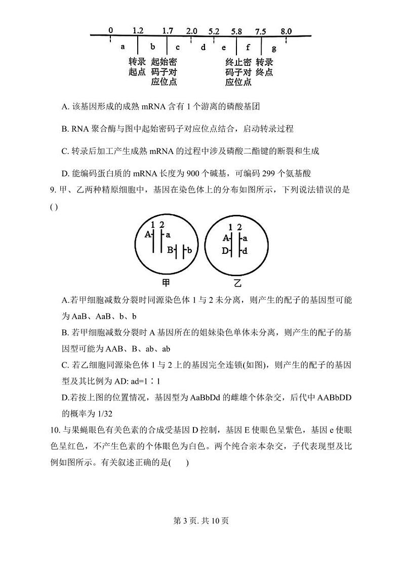河南省信阳高级中学北湖校区2024--2025学年高二上学期开学考试生物试题03