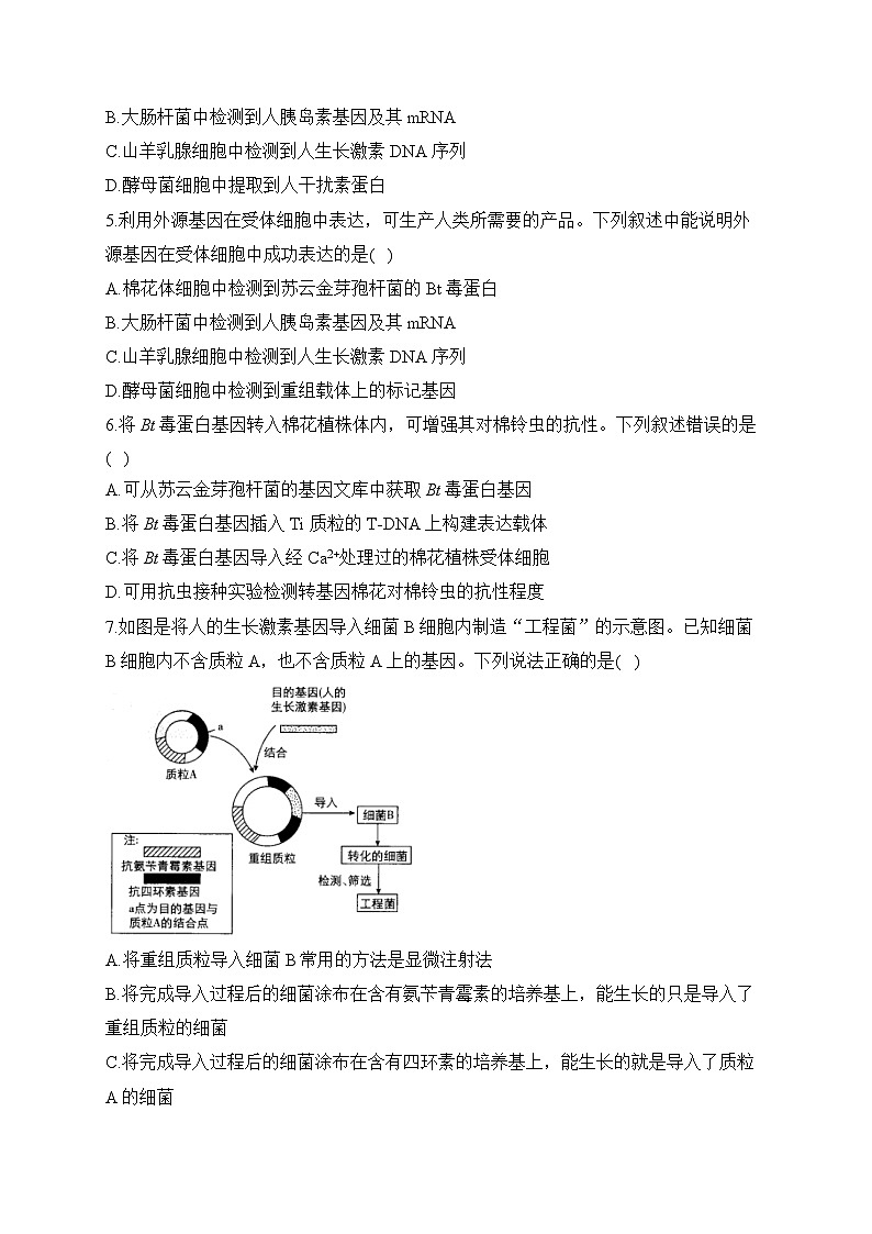 第3章 基因工程  ——2022-2023学年高二生物学北师大版（2019）选择性必修三 单元测试（有解析）02