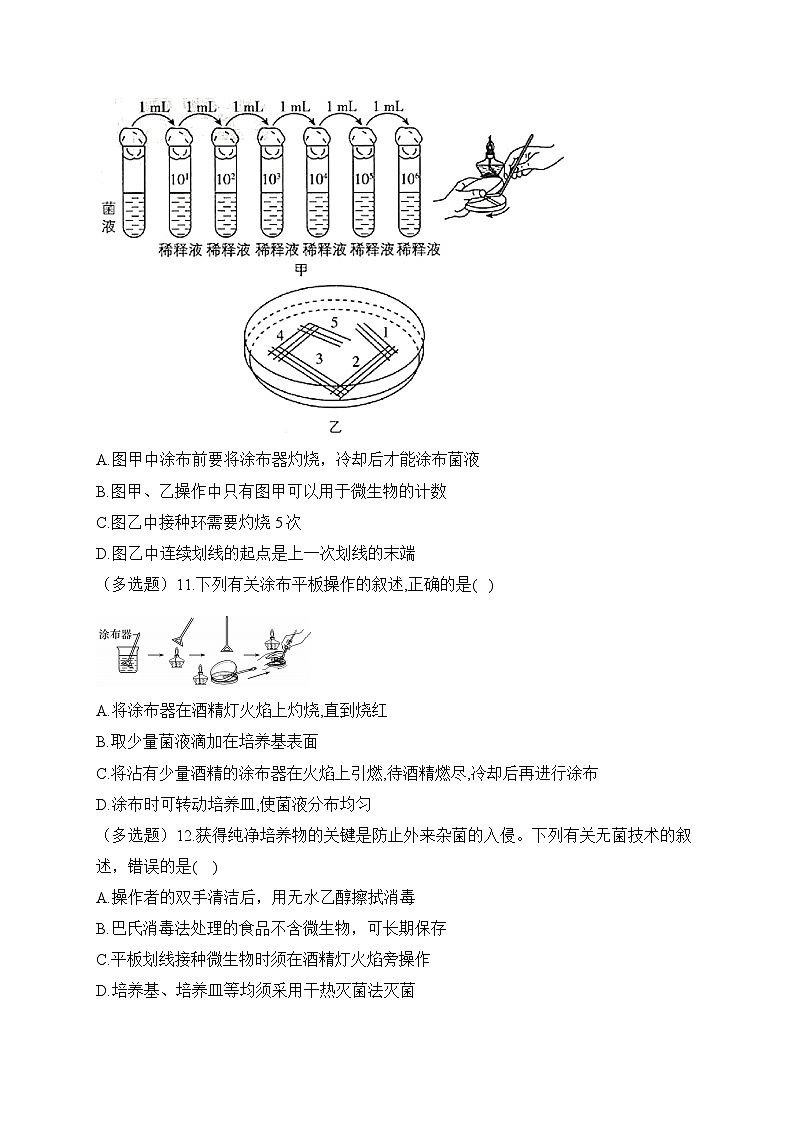 1.1微生物纯培养物的获得——2022-2023学年高二生物学北师大版（2019）选择性必修三同步课时训练（有解析）03