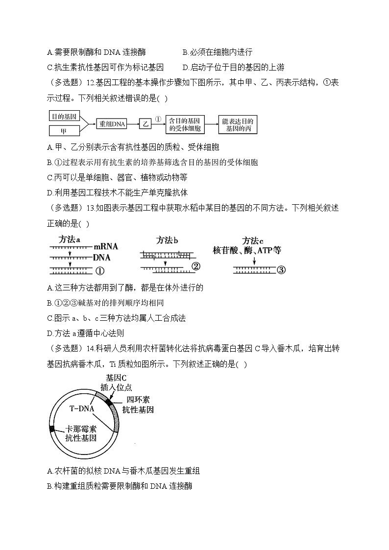 3.3基因工程的操作程序——2022-2023学年高二生物学北师大版（2019）选择性必修三同步课时训练（有解析）第3页