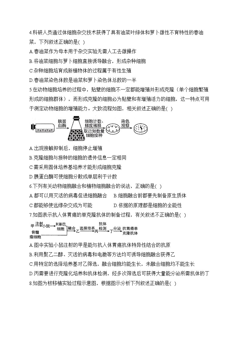第2章 细胞工程  ——2022-2023学年高二生物学北师大版（2019）选择性必修三 单元测试（含解析）02