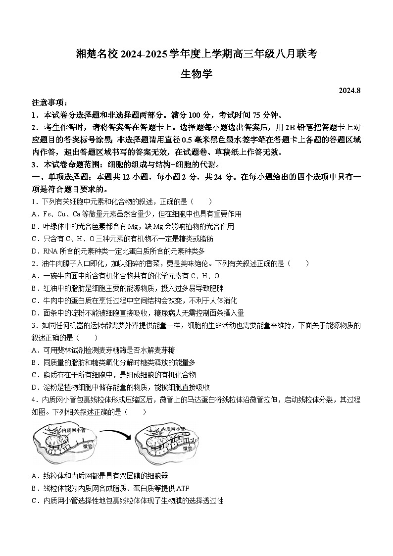 湖南省湘楚名校2024-2025学年高三上学期8月联考生物试题（Word版附解析）01