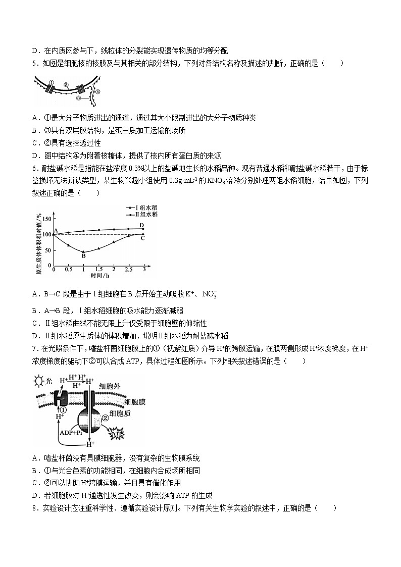 湖南省湘楚名校2024-2025学年高三上学期8月联考生物试题（Word版附解析）02