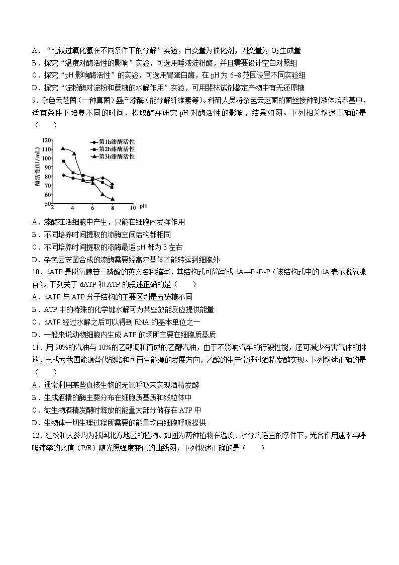 湖南省湘楚名校2024-2025学年高三上学期8月联考生物试题（Word版附解析）03