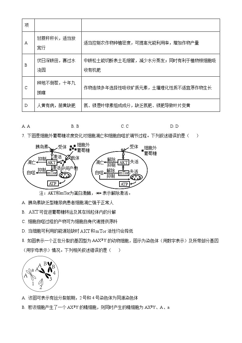 湖南省长沙市第一中学2024-2025学年高三上学期月考卷（一）生物试题（Word版附答案）03