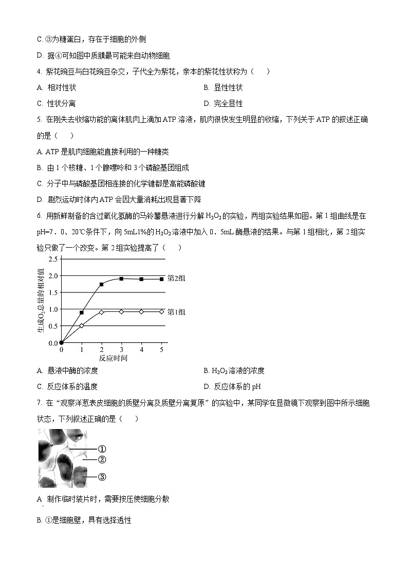 浙江省绍兴市上虞区2023-2024学年高一下学期学考适应性考试生物试题（Word版附解析）02